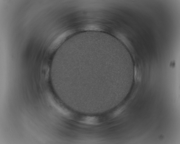 X0000112530157200909071406