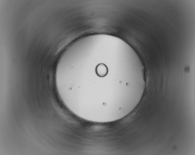 X0000112530158200909071406