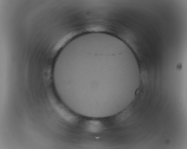 X0000112530159200909071406