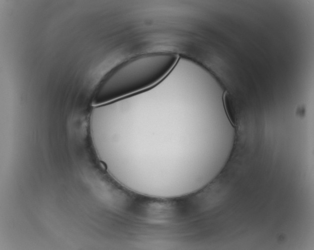 X0000112530160200909071406