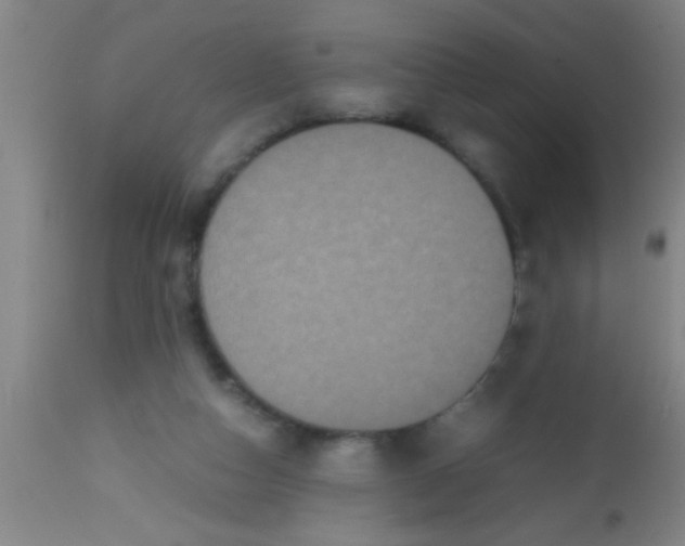 X0000112530162200909071406