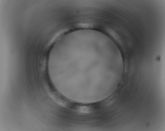 X0000112530163200909071406