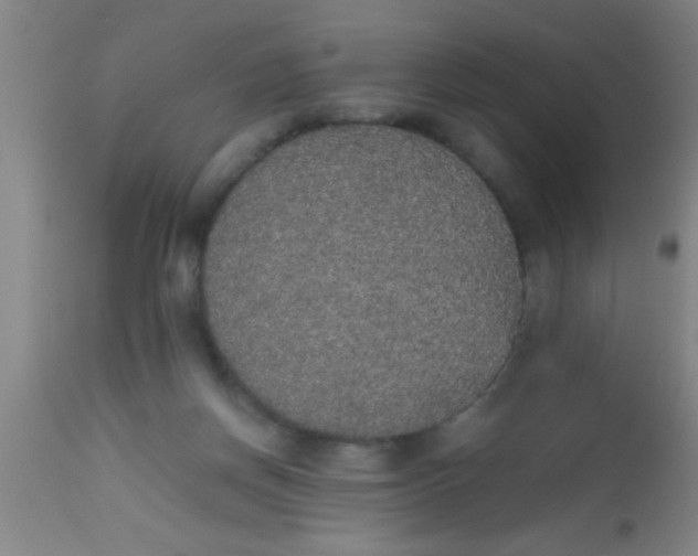 X0000112530166200909071406