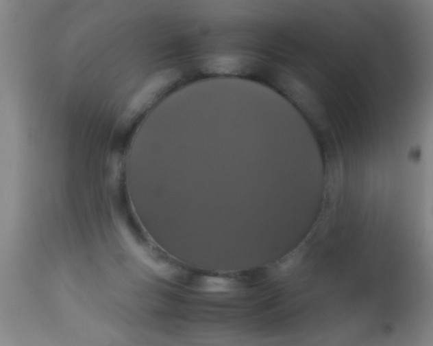 X0000112530167200909071406