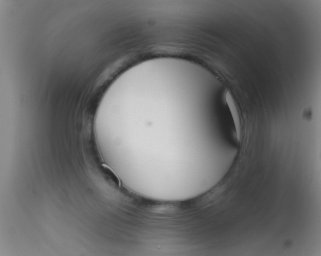 X0000112530168200909071406