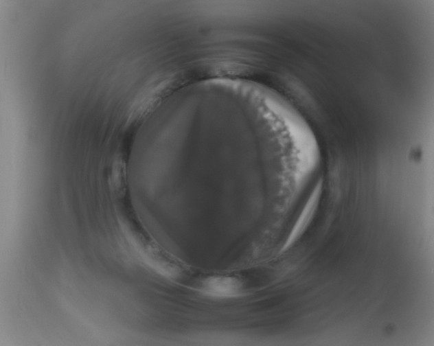 X0000112530169200909071406