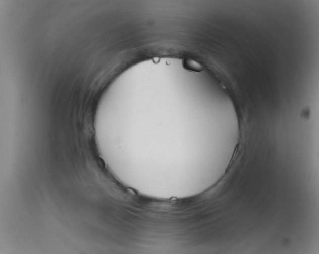 X0000112530170200909071406