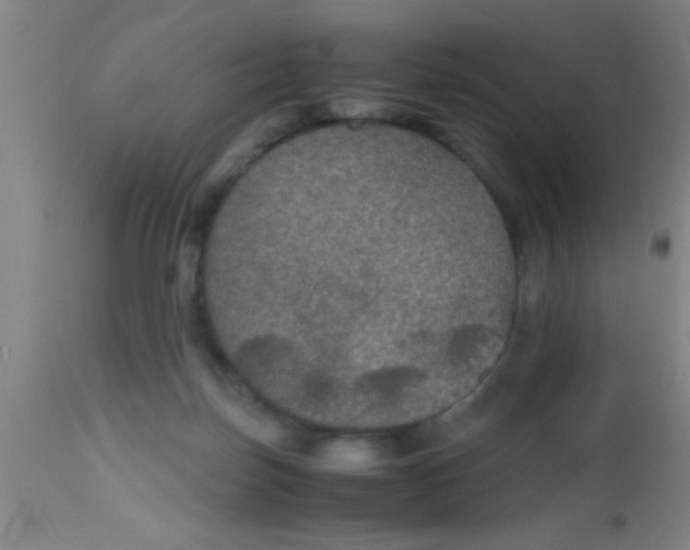 X0000112530171200909071407