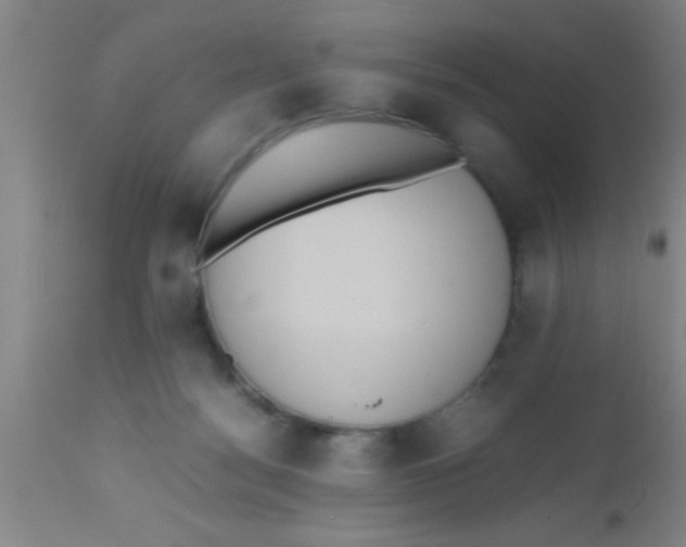 X0000112530172200909071407