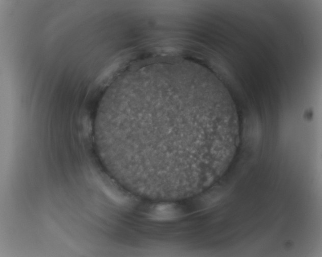 X0000112530173200909071407