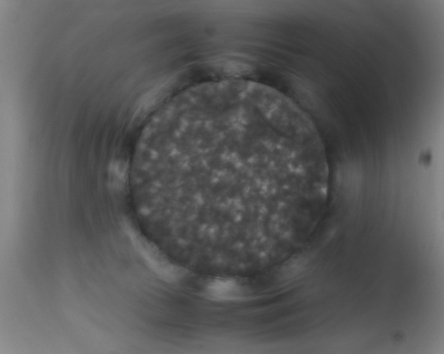 X0000112530177200909071407