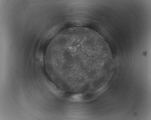 X0000112530178200909071407