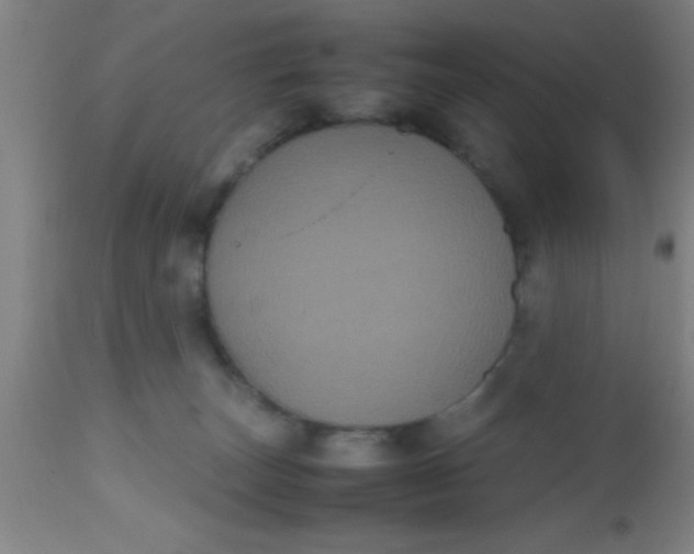 X0000112530179200909071407