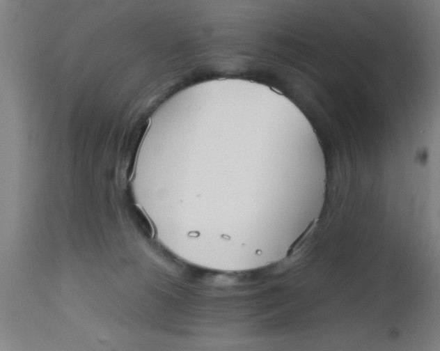 X0000112530180200909071407