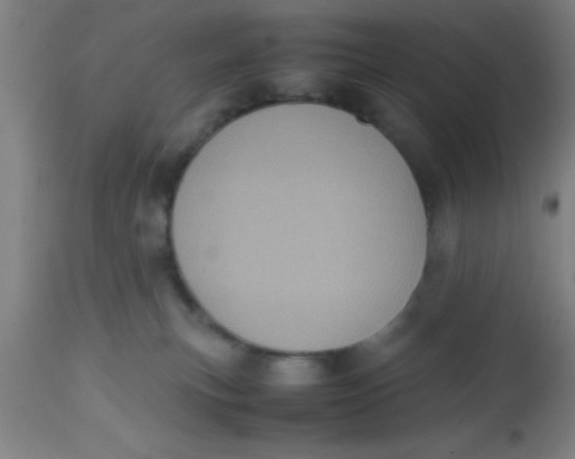 X0000112530183200909071407