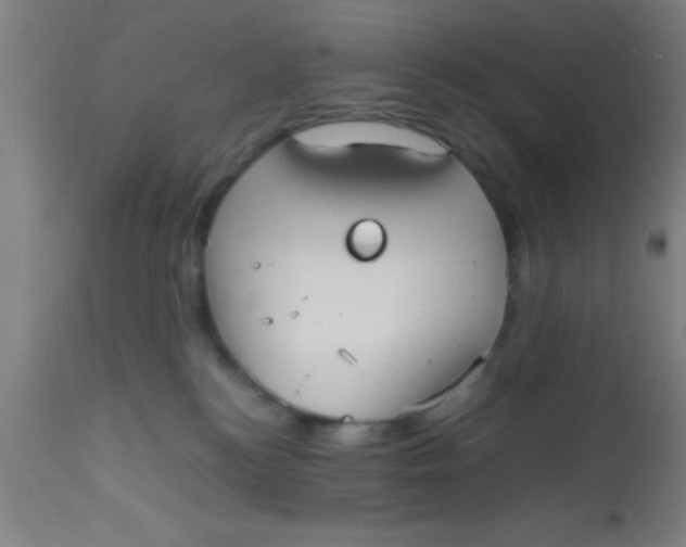 X0000112530184200909071407