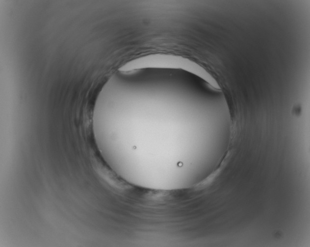 X0000112530186200909071407