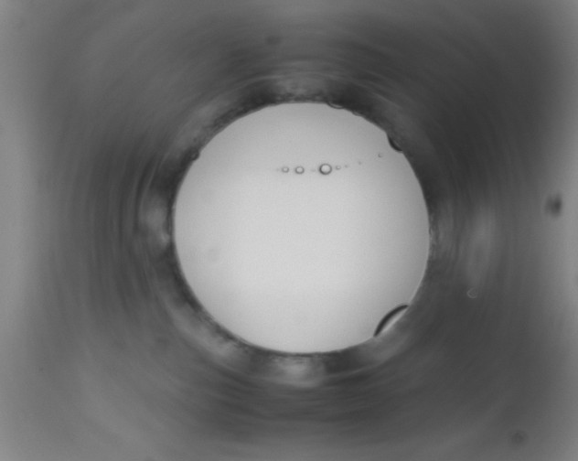 X0000112530187200909071407