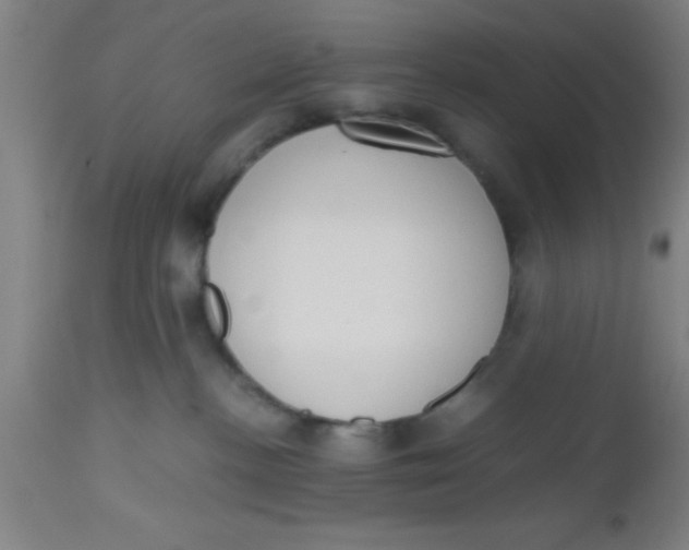 X0000112530188200909071407