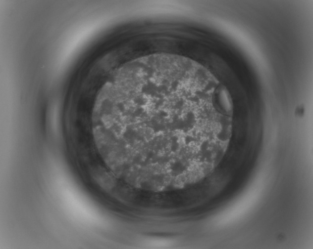 X0000112530189200909071407