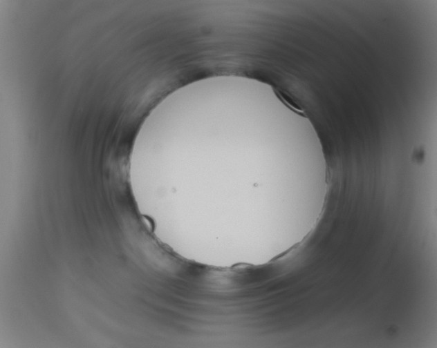 X0000112530190200909071407