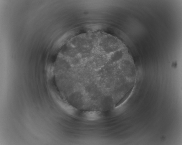 X0000112530191200909071407