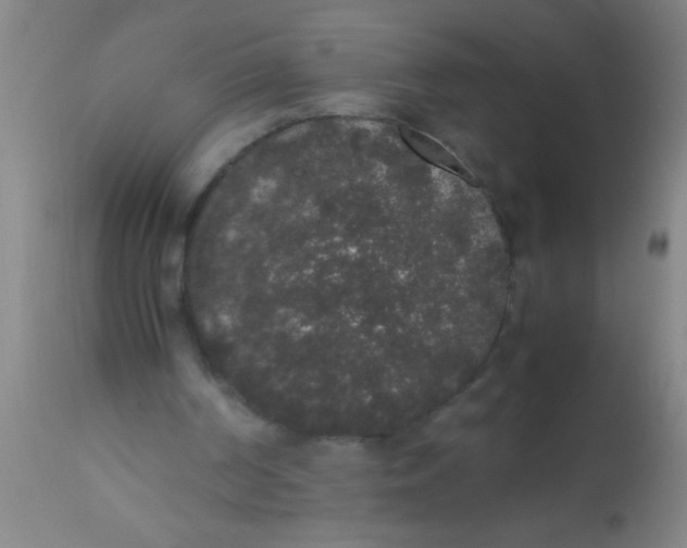 X0000112530194200909071406