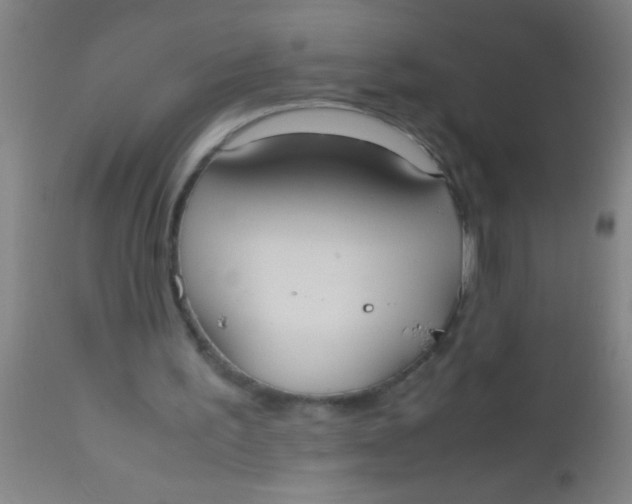 X0000112530195200909071406