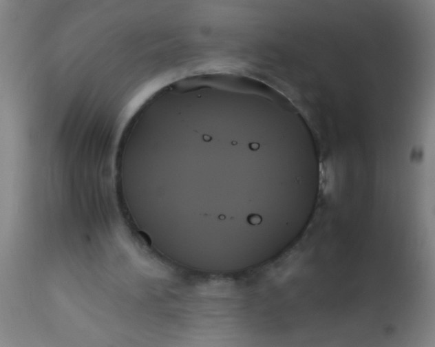 X0000112530196200909071406