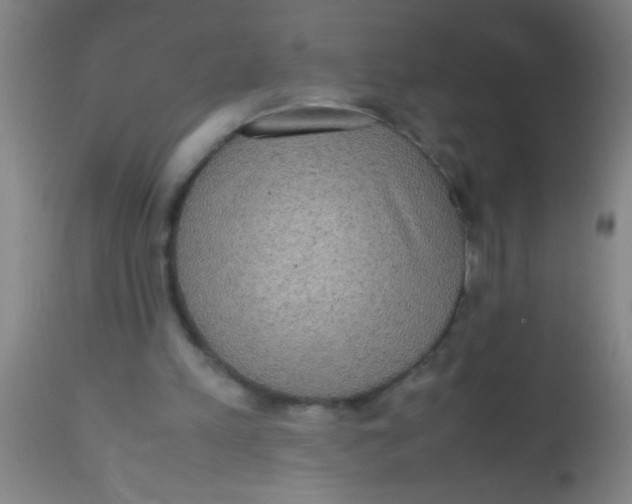 X0000112530197200909071406