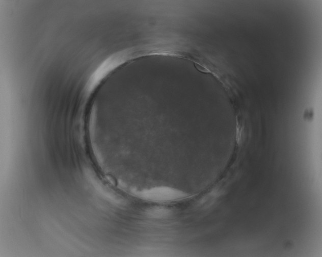 X0000112530198200909071406