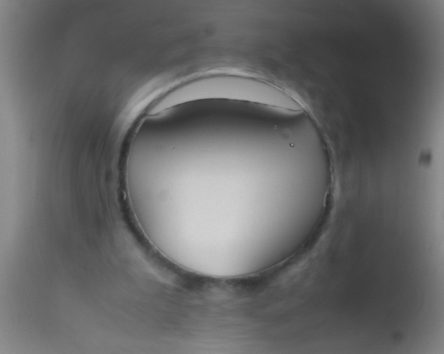 X0000112530199200909071406