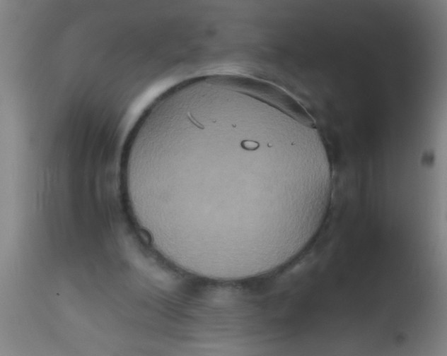 X0000112530200200909071406