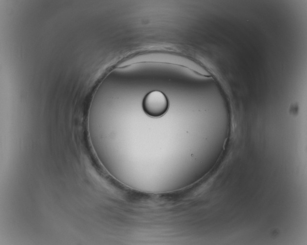 X0000112530201200909071406