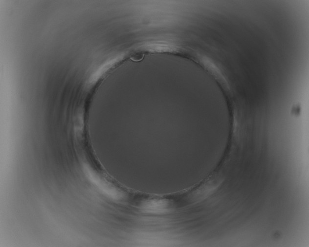 X0000112530202200909071406