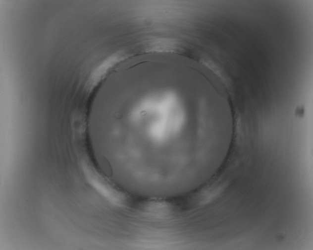 X0000112530203200909071406