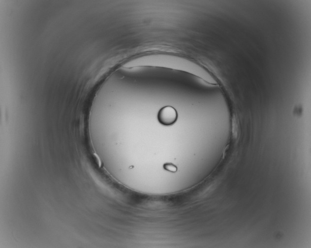 X0000112530205200909071406