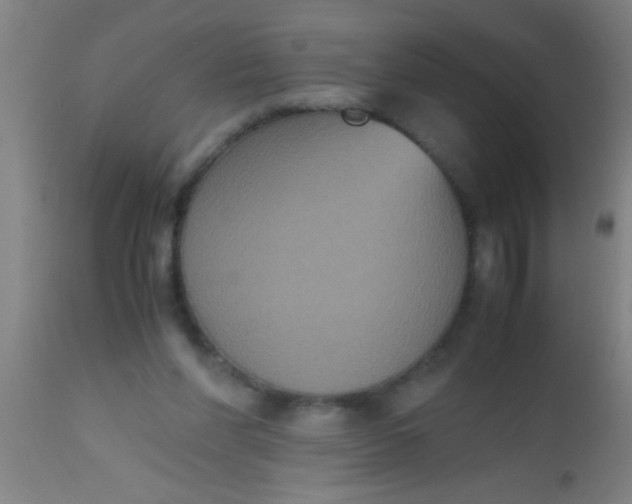 X0000112530206200909071406