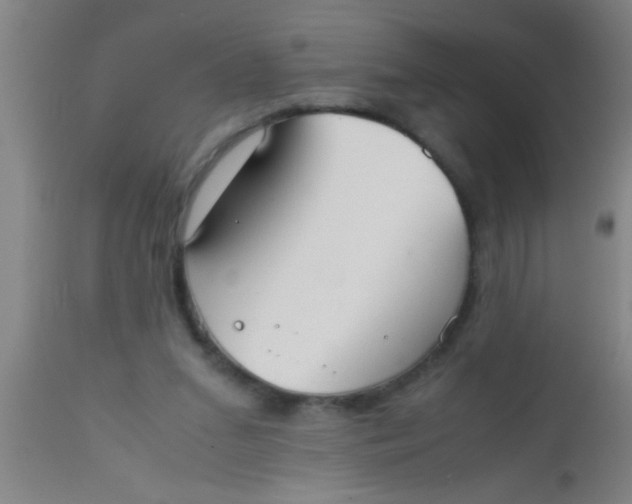 X0000112530207200909071406