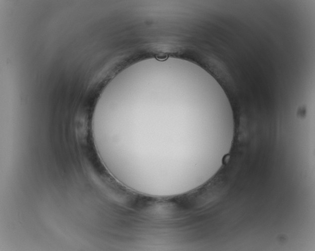 X0000112530210200909071406