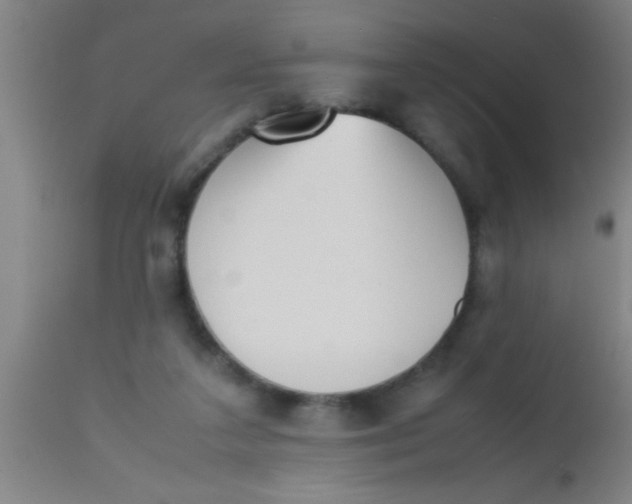 X0000112530211200909071406