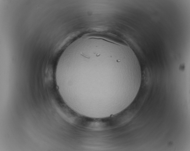 X0000112530212200909071406