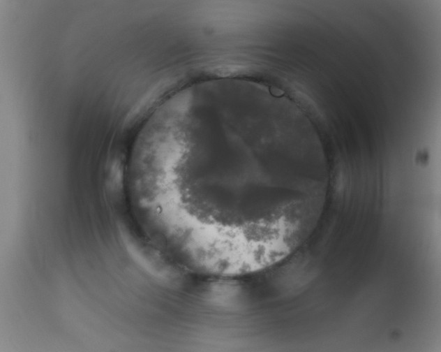 X0000112530214200909071406