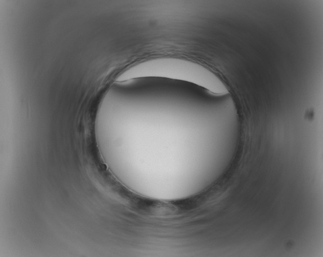 X0000112530215200909071406