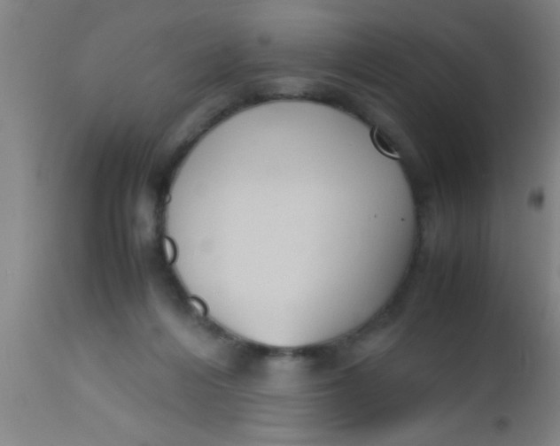 X0000112530216200909071406