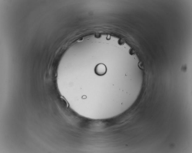 X0000112530217200909071406