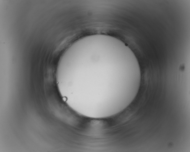 X0000112530218200909071406