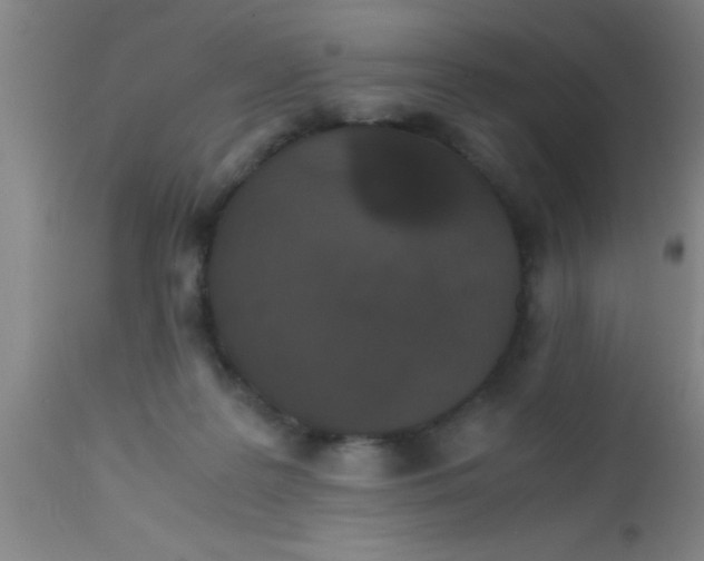 X0000112530219200909071406