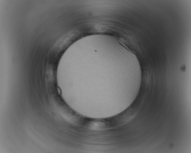 X0000112530220200909071406