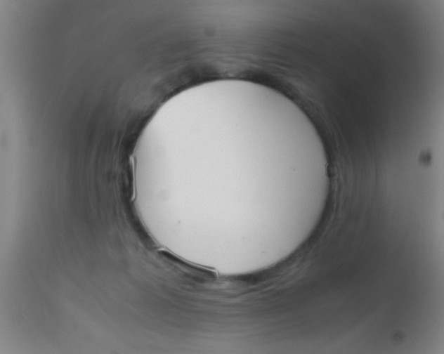 X0000112530221200909071406